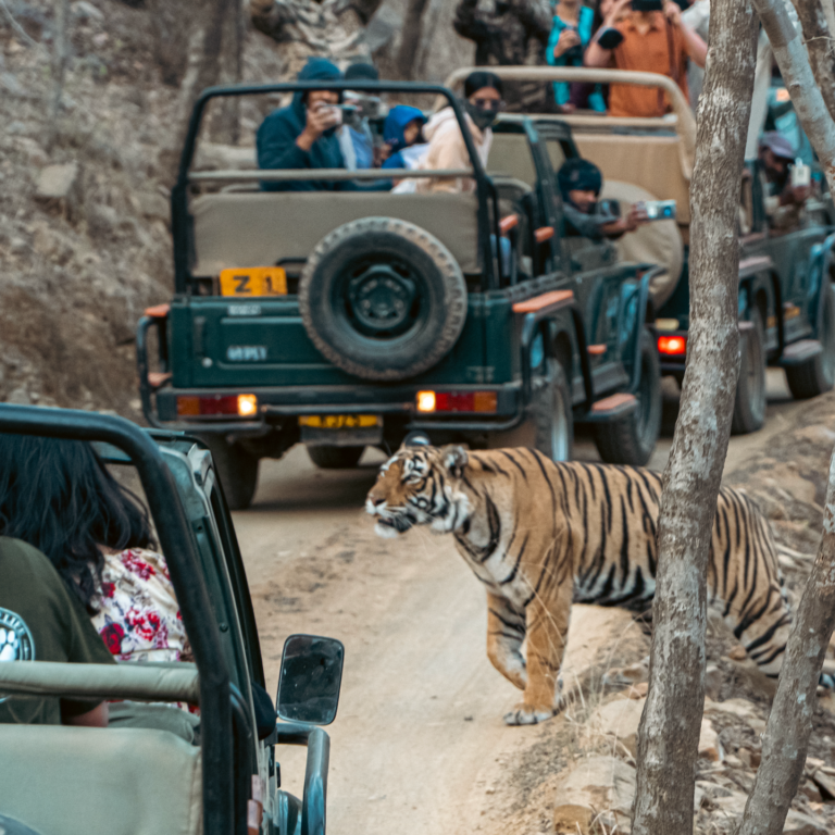 Rathambore.png